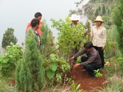 王云赋董事长亲临施工现场指导“抚仙湖绿化工程”