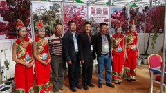 我公司参加2012中国昆明（泛亚）国际观赏苗木展览会