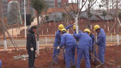 我公司承建的昆明理工大学樱花园开工