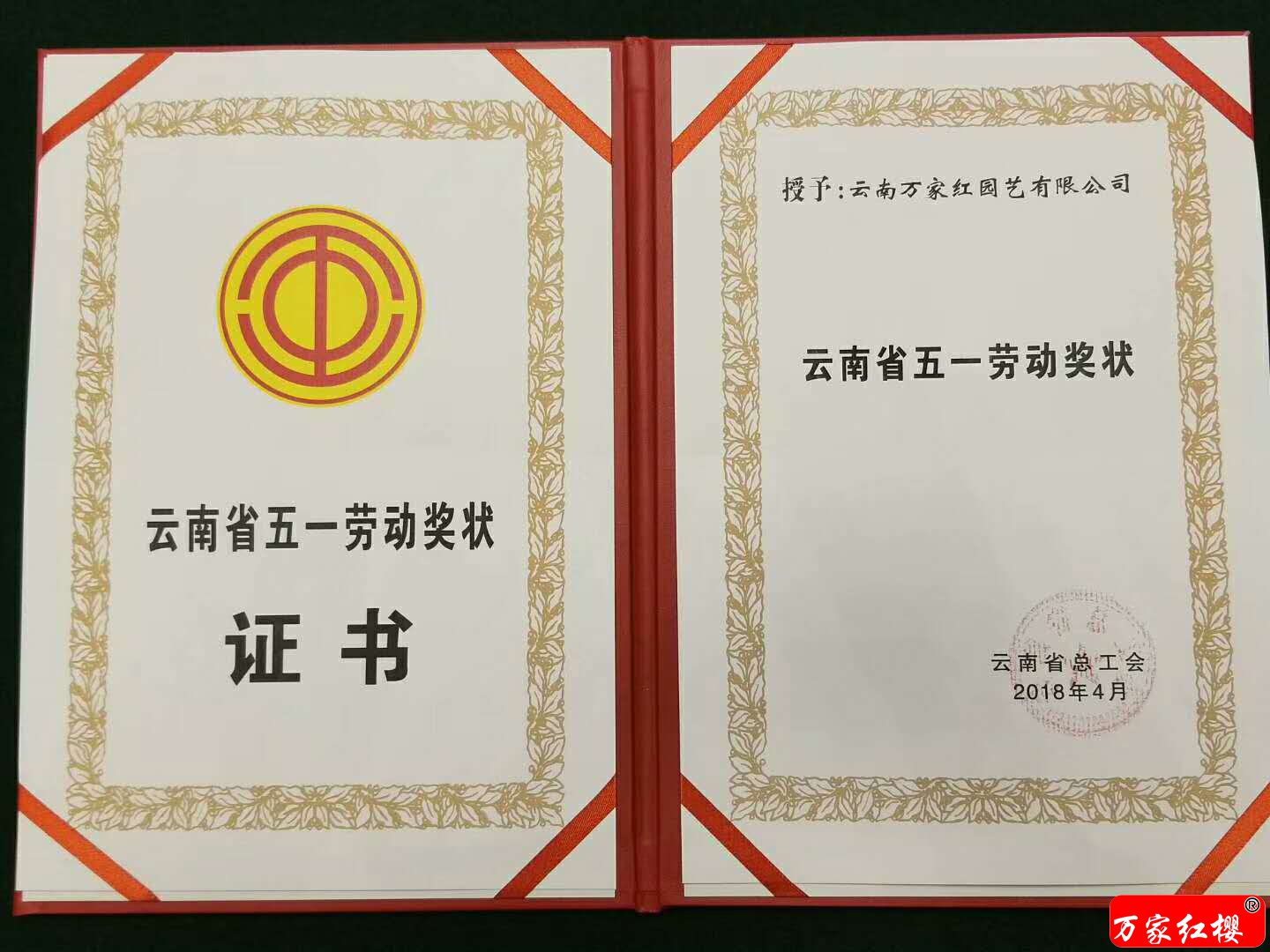 我公司被表彰为云南省“五一劳动”奖状单位