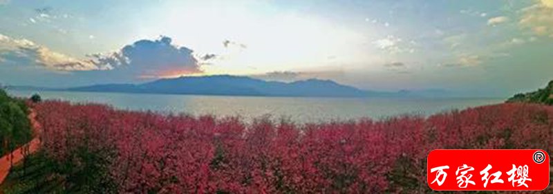 微信图片_20180602162412.jpg