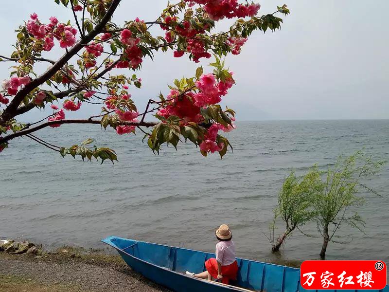 微信图片_20180602162502.jpg