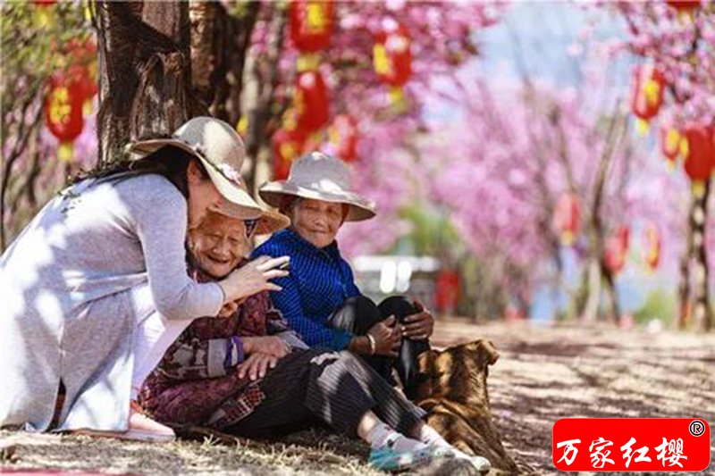 微信图片_20180602162720.jpg