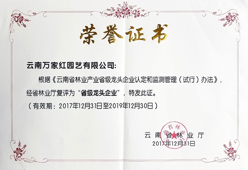 省级龙头企业证书