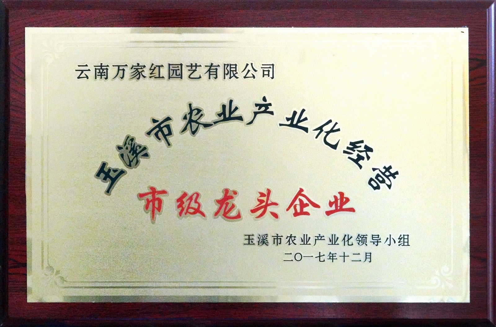 市级龙头企业牌匾