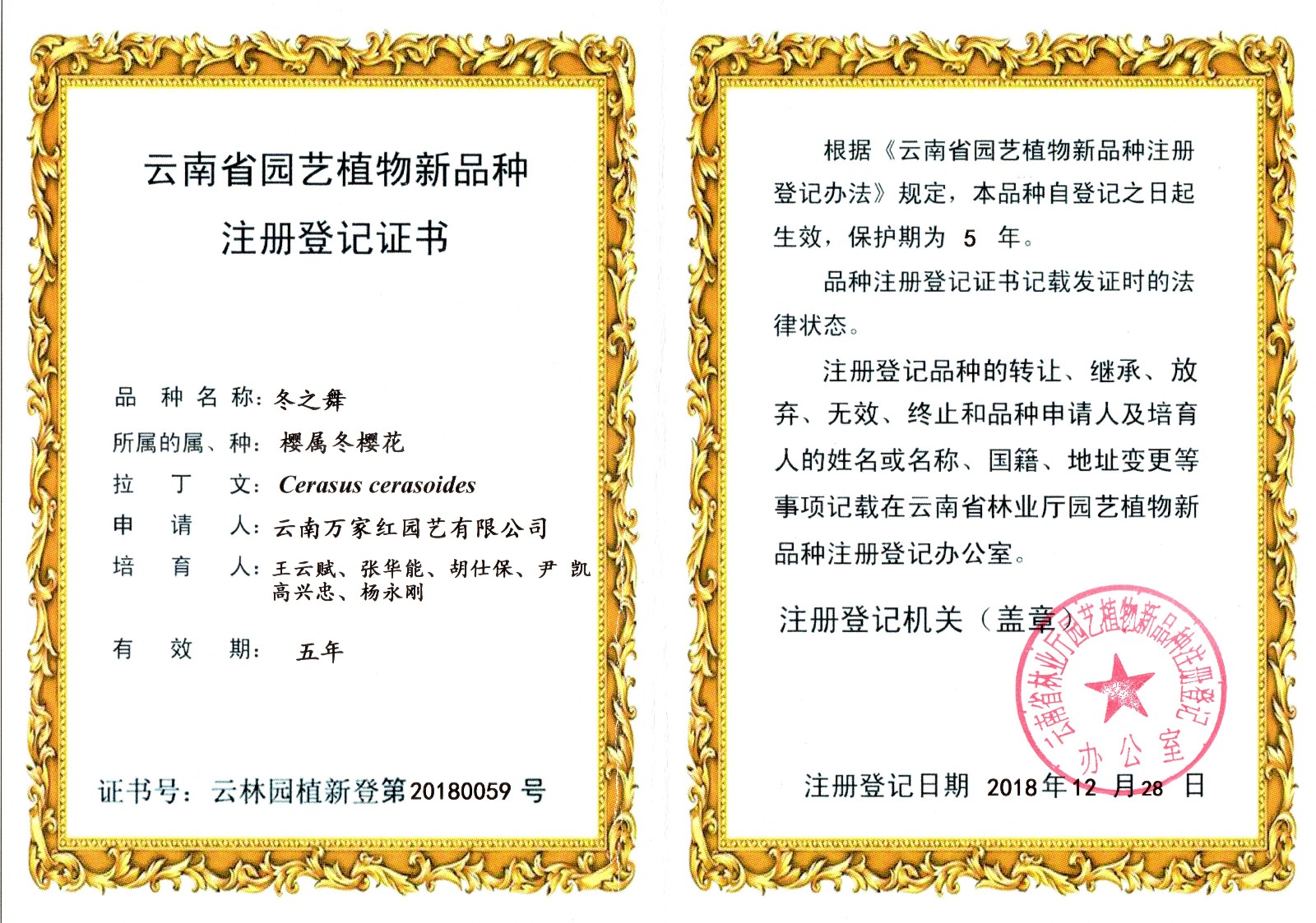 冬之舞新植物新品种证书