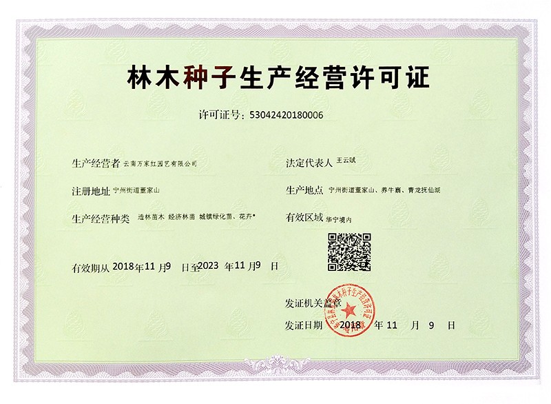 qq.jpg