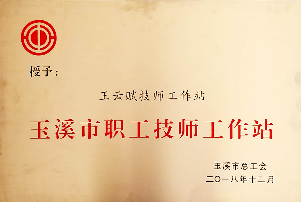 我公司拥有一个“技师工作站”