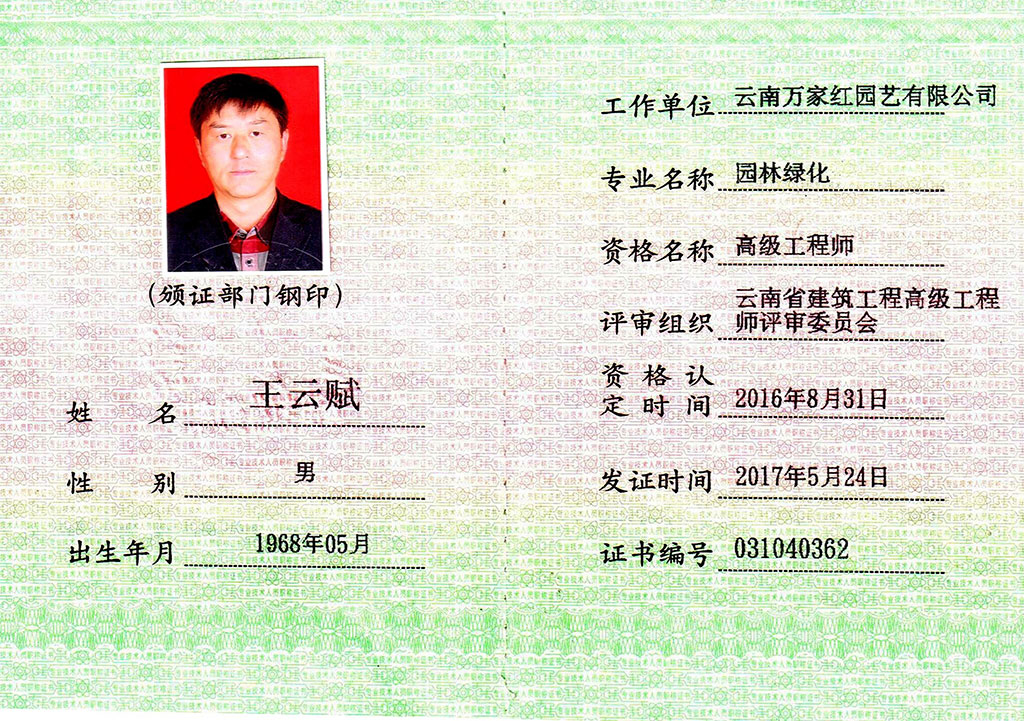 公司董事长王云赋高级工程师证