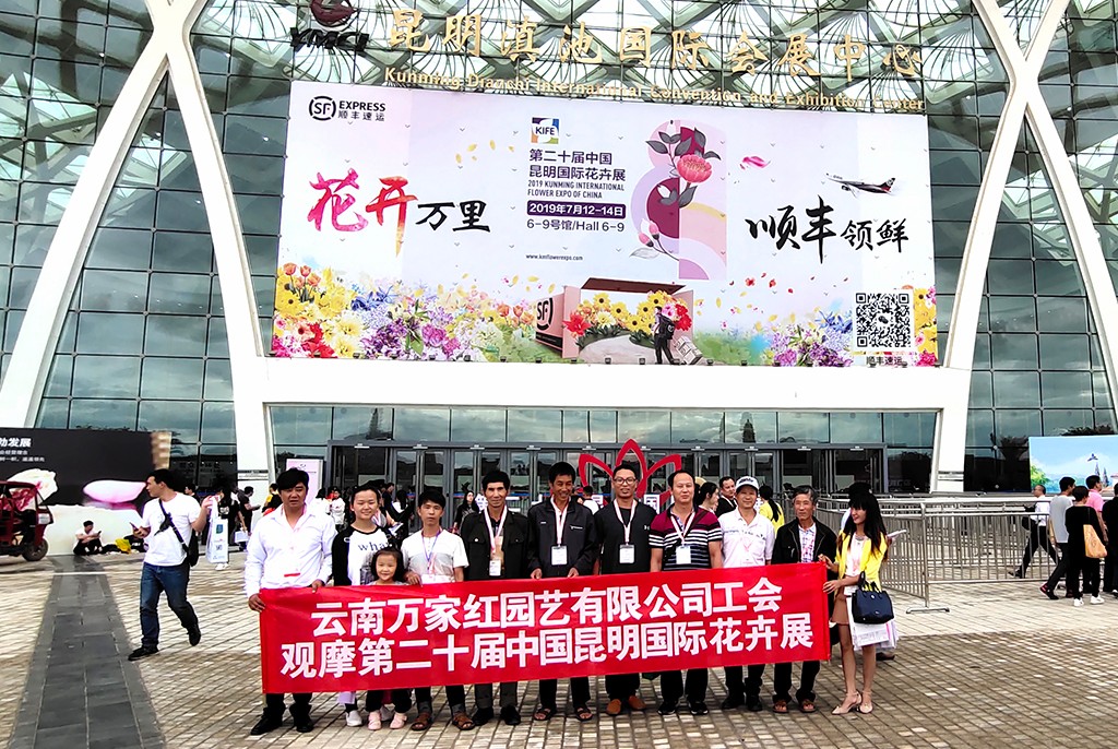 我公司工会观摩第二十届中国昆明国际花卉展
