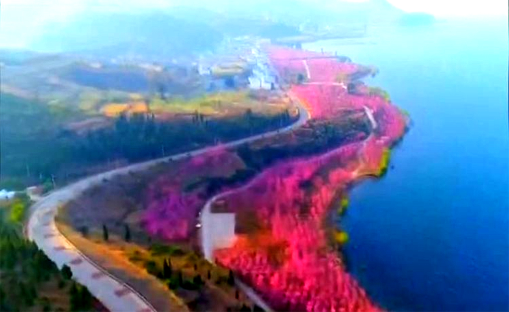 1567218481542630.jpg 未标题-2.jpg