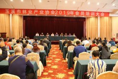 玉溪市林业产业协会培训大会在华宁召开
