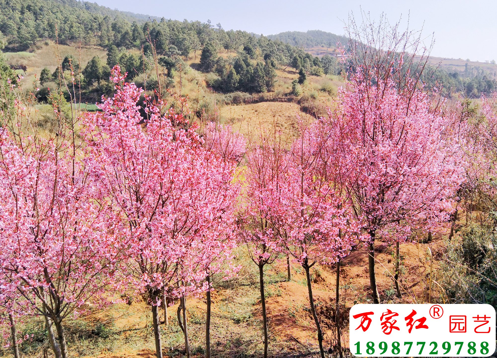 IMG20190221114655.jpg