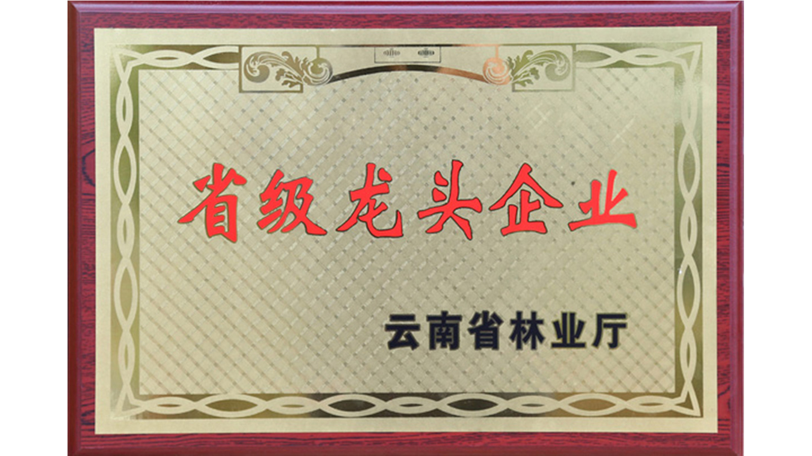 <b>省龙头企业牌匾</b>