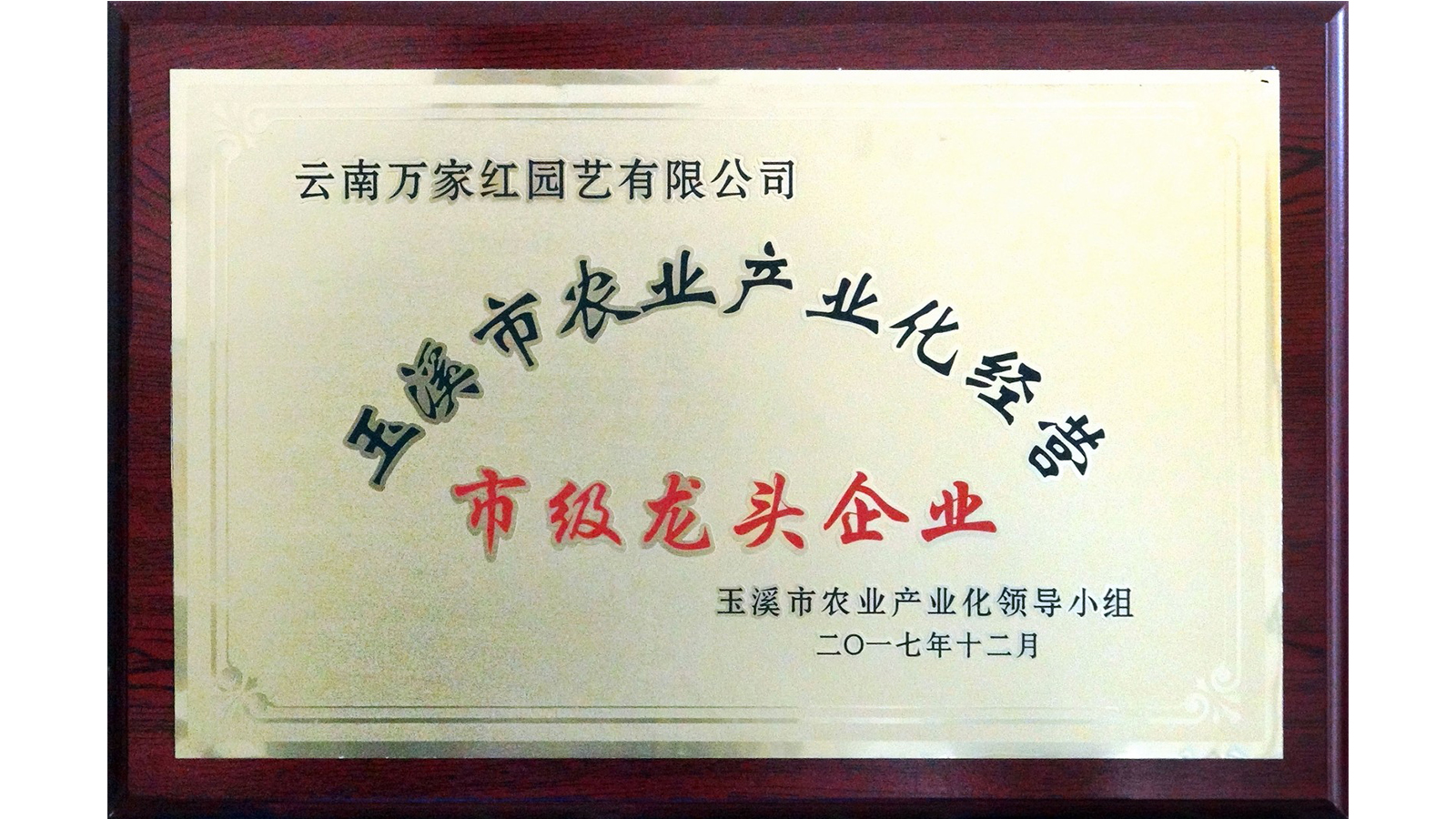 <b>市级龙头企业牌匾</b>