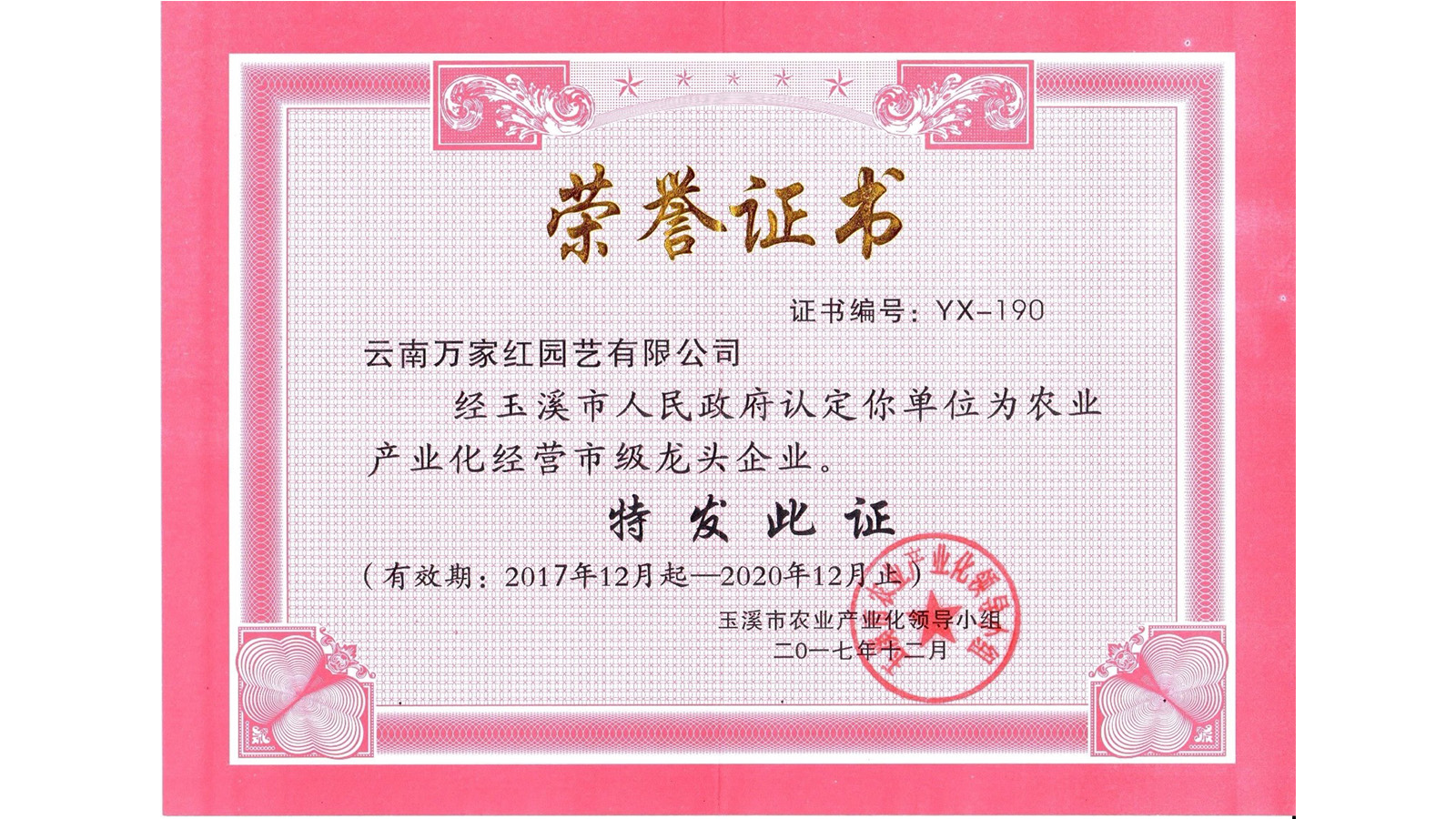 <b>市级龙头企业证书</b>