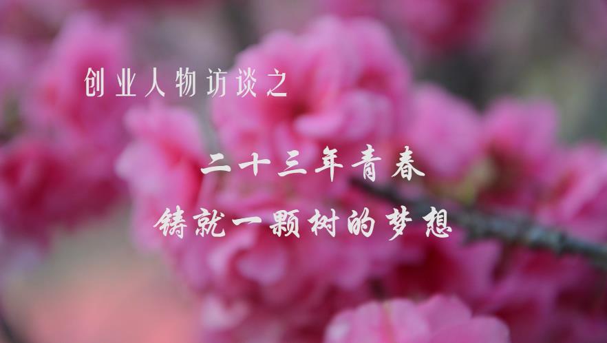 腾讯网报道我公司董事长王云赋”23年青春，铸就一棵樱花树的梦想“