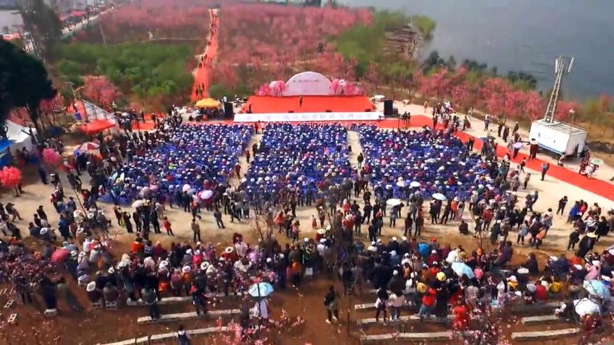 第二届云南抚仙湖樱花节开幕式全视频