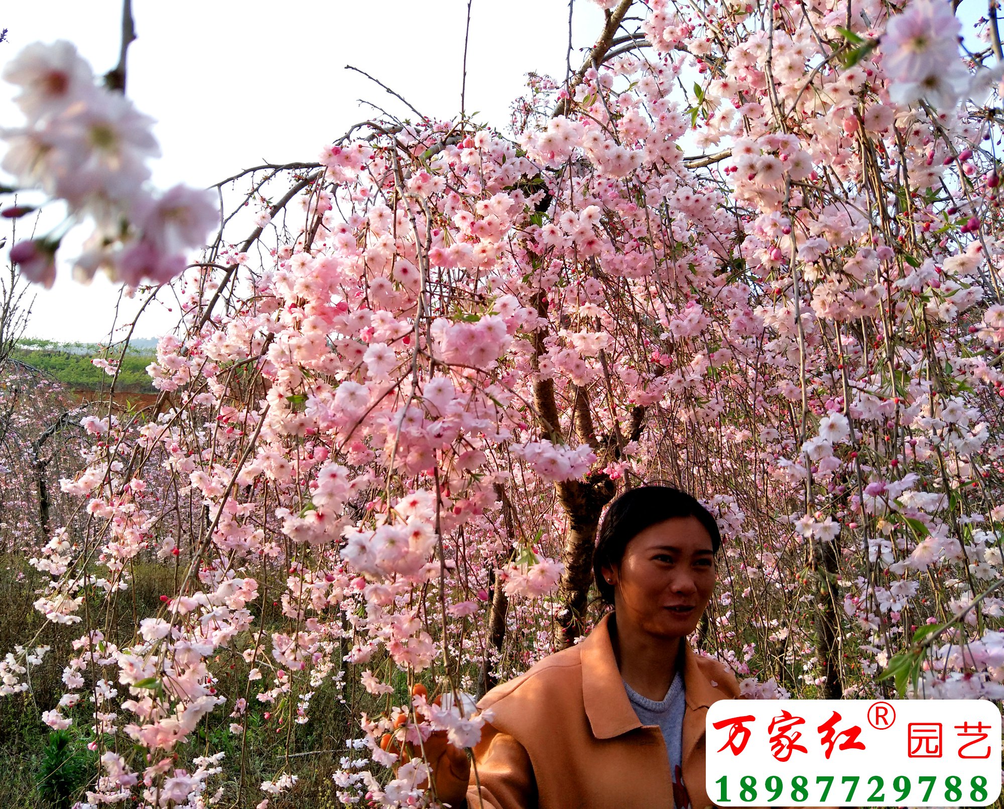 IMG20190316175306.jpg