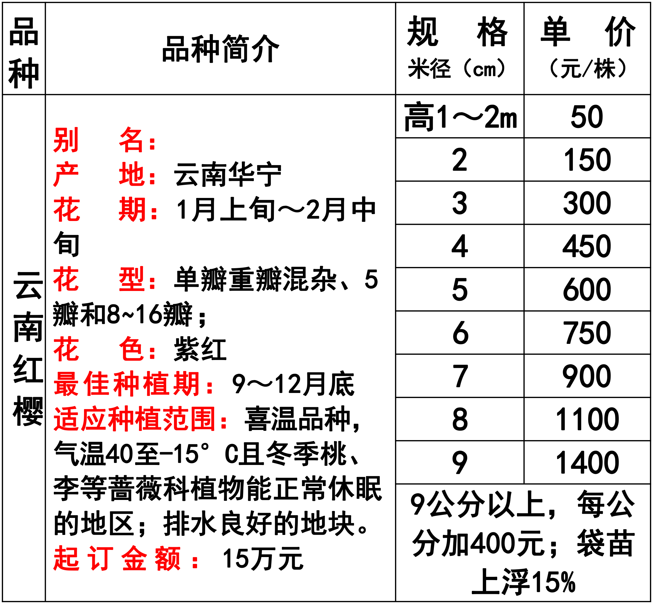 云南鲜花批发价