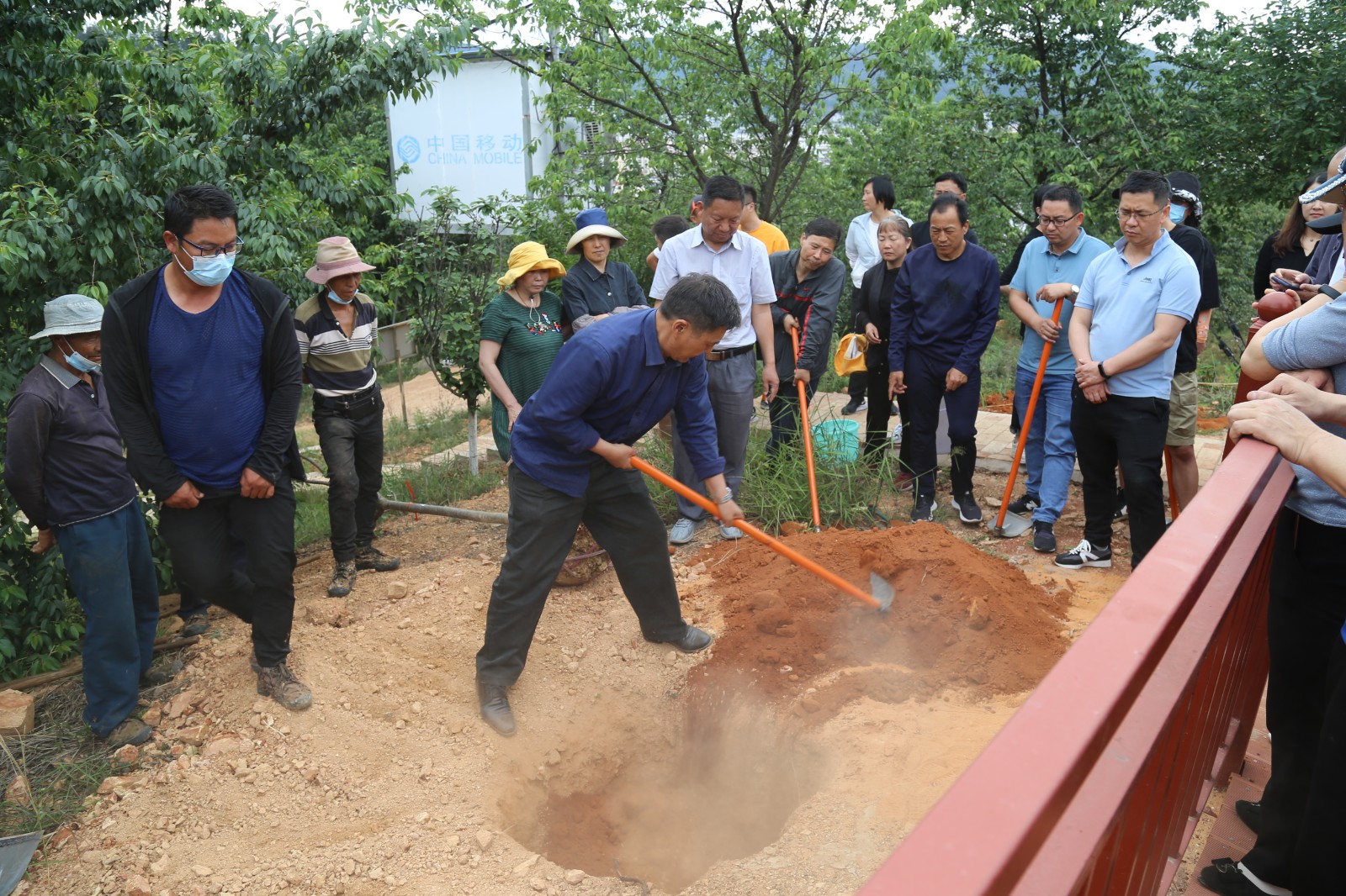 万家红樱花新品种助力玉溪市民族中学美丽校园建设