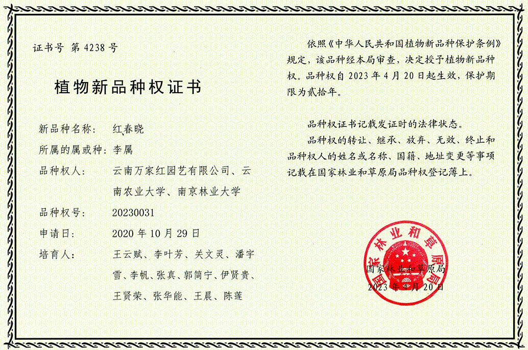 <b>国家级樱花新品种证书：红春晓</b>