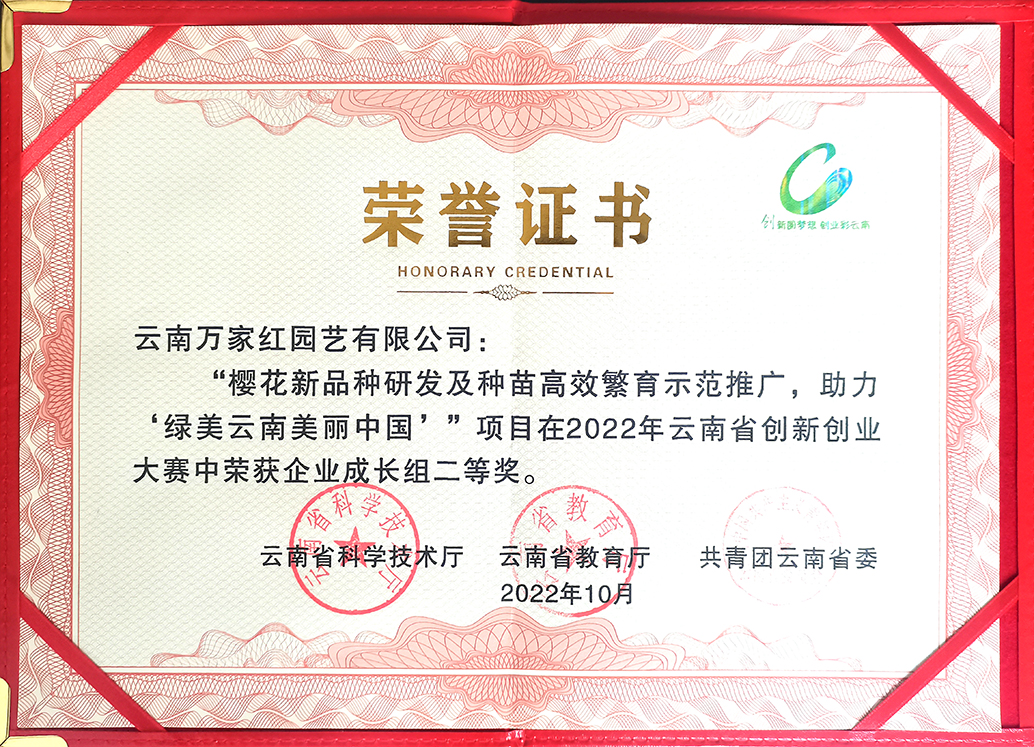 参加2022年云南省创新创业大赛荣获二等奖