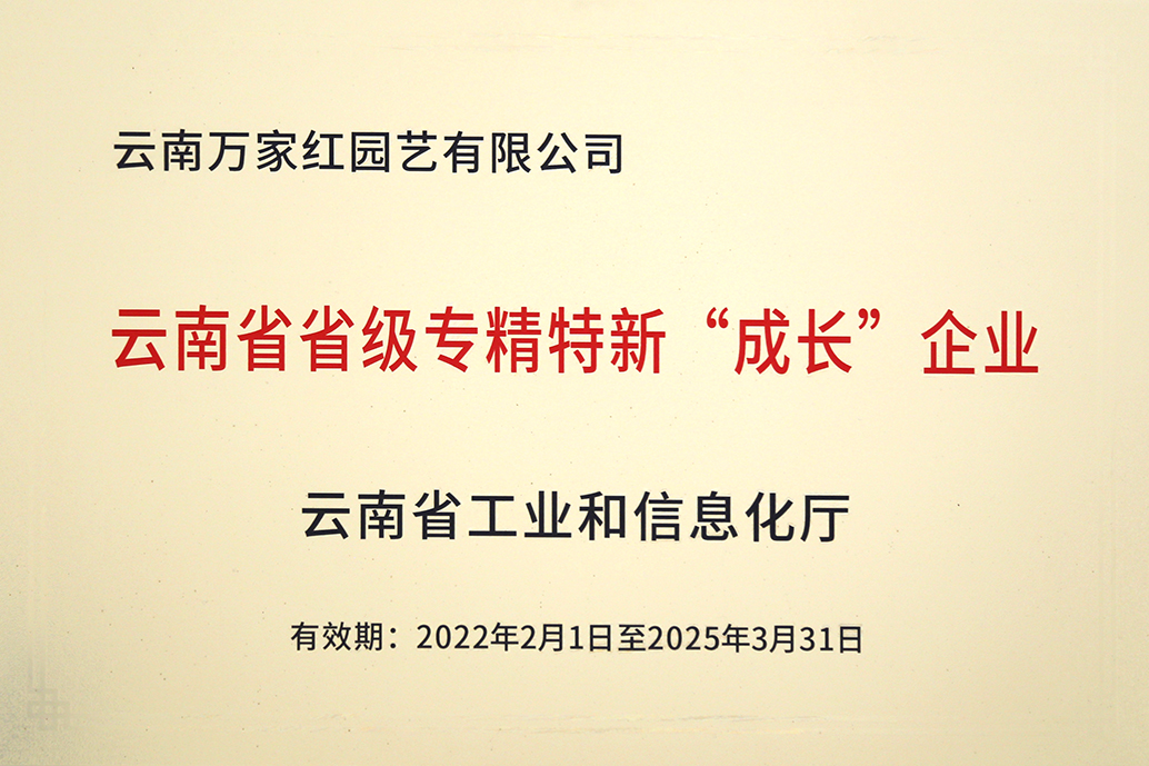 云南省省级专精特新“成长”企业牌匾