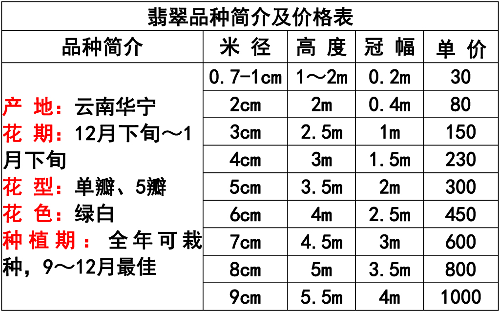 网站价格表 - 副本-4 副本.jpg