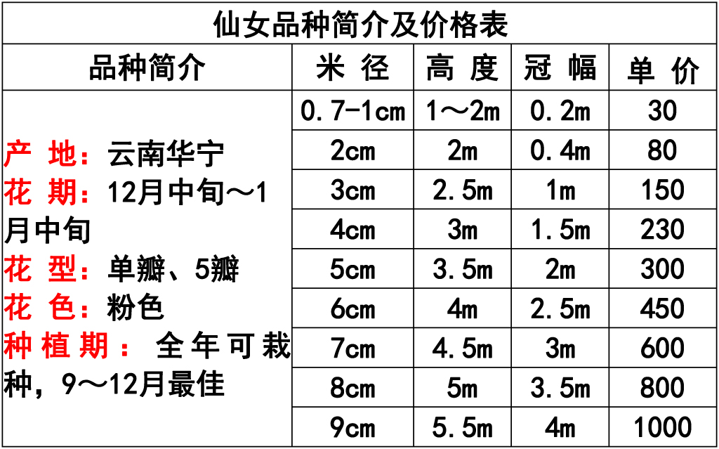 网站价格表 - 副本-2 副本.jpg