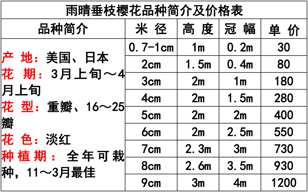 网站价格表 - 副本-15 副本.jpg