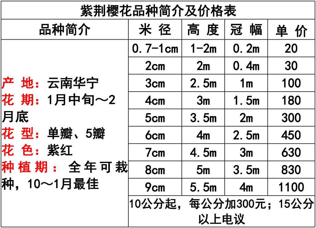 网站价格表 -10 副本.jpg