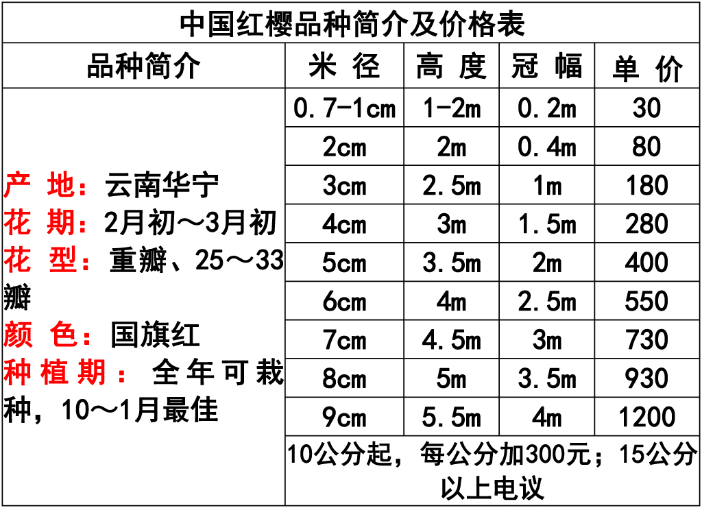 网站价格表 -12 副本.jpg
