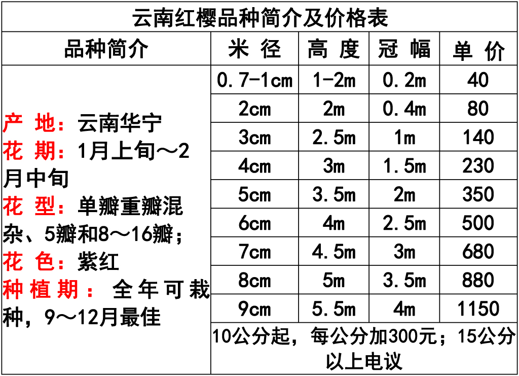 网站价格表 -8 副本.jpg