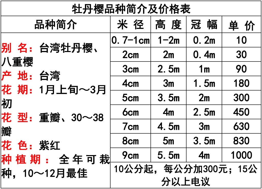 网站价格表 -9 副本.jpg
