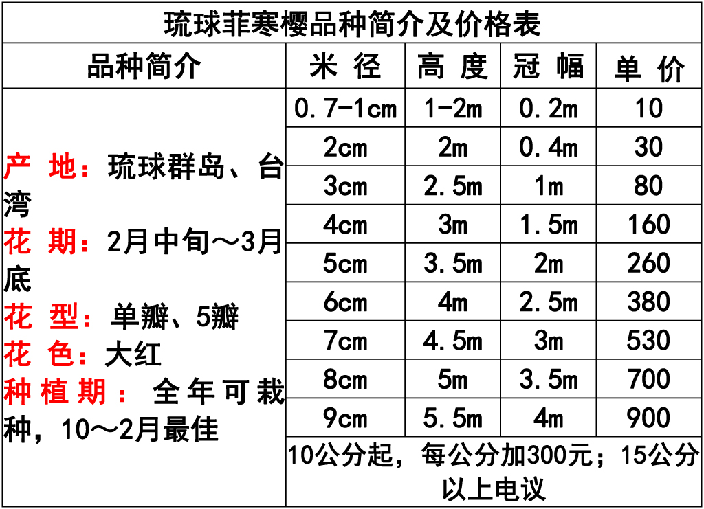 网站价格表 -13 副本.jpg