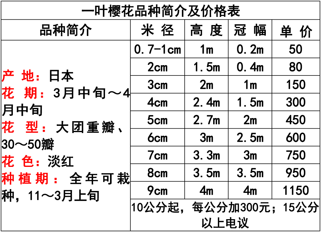 网站价格表 -18 副本.jpg