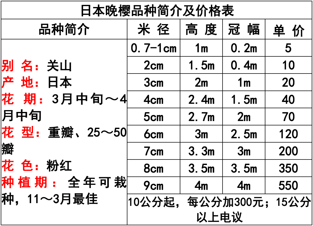网站价格表 -20 副本.jpg