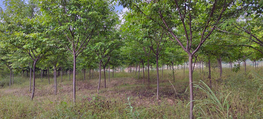 1697530646622282.jpg 微信图片_20231017160017.jpg