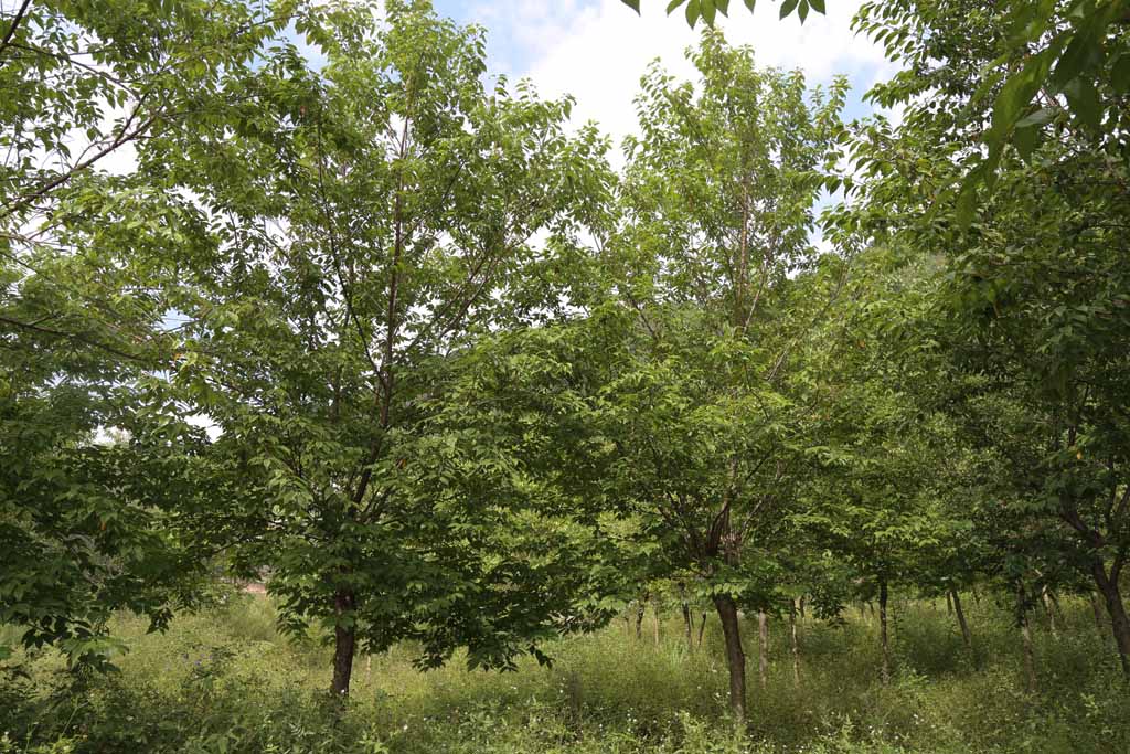 1697530658127524.jpg IMG_1051.jpg