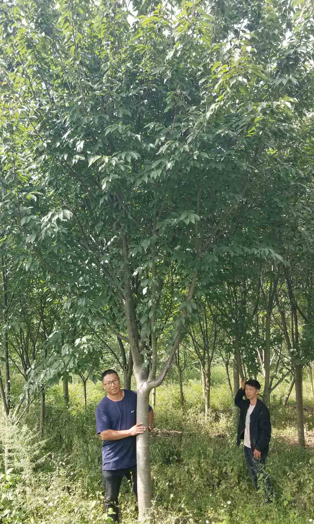 1697532803100479.jpg 微信图片_20231017164428.jpg