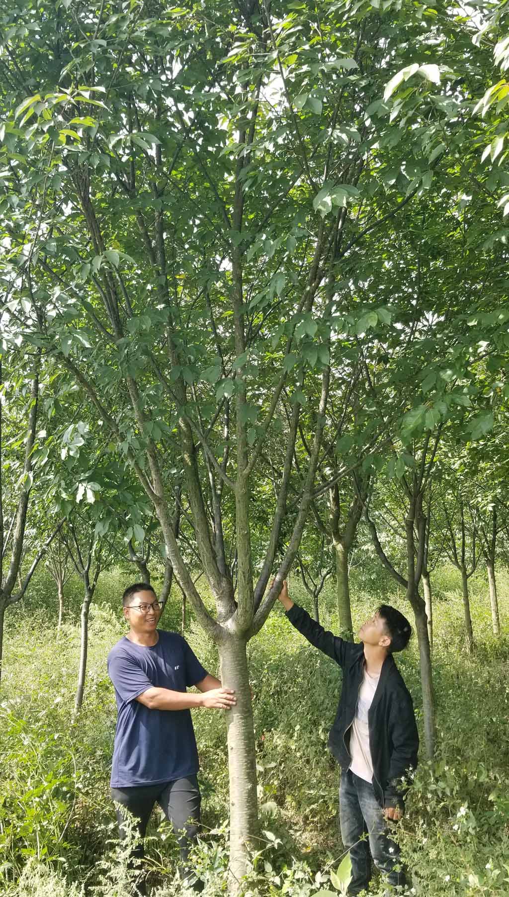 1697532817134624.jpg 微信图片_20231017164431.jpg