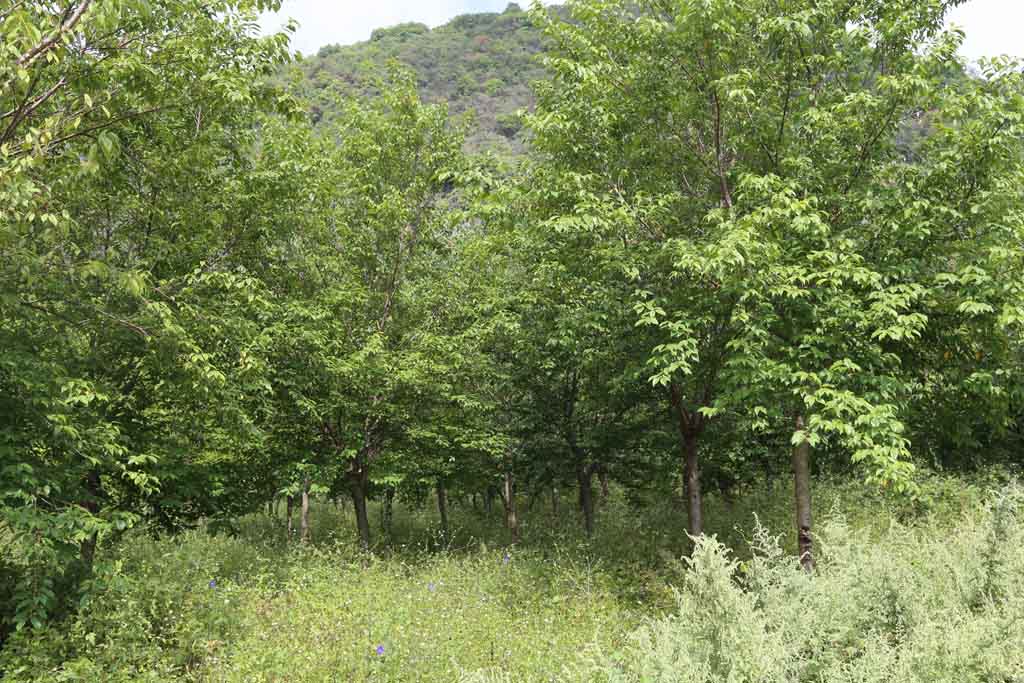 1697534295922041.jpg IMG_1055.jpg