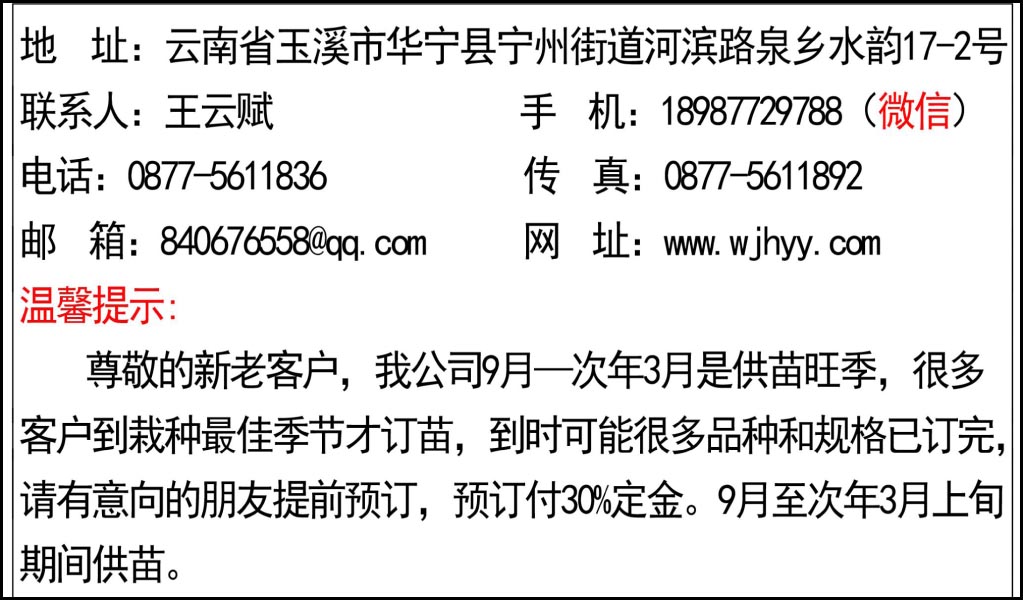 樱花品种介绍及价格表xxx-12.jpg