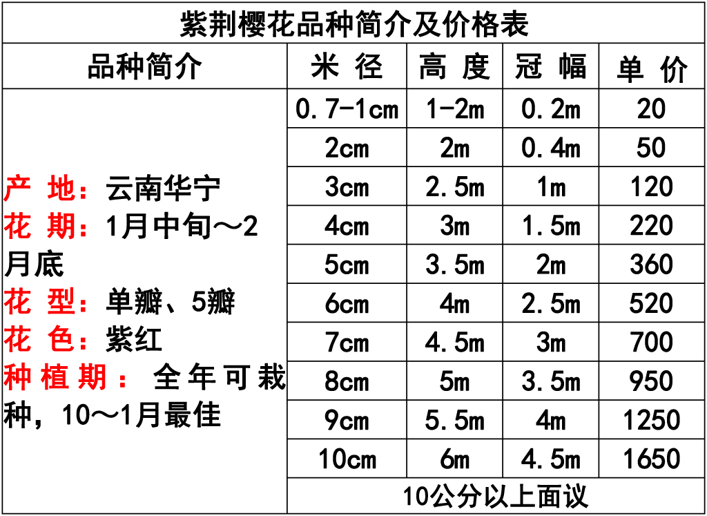 网站价格表 -10 副本.jpg