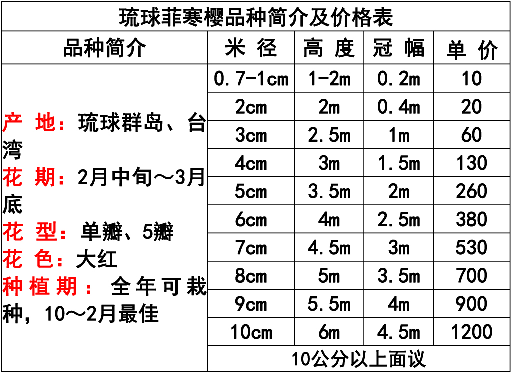 网站价格表 -13 副本.jpg