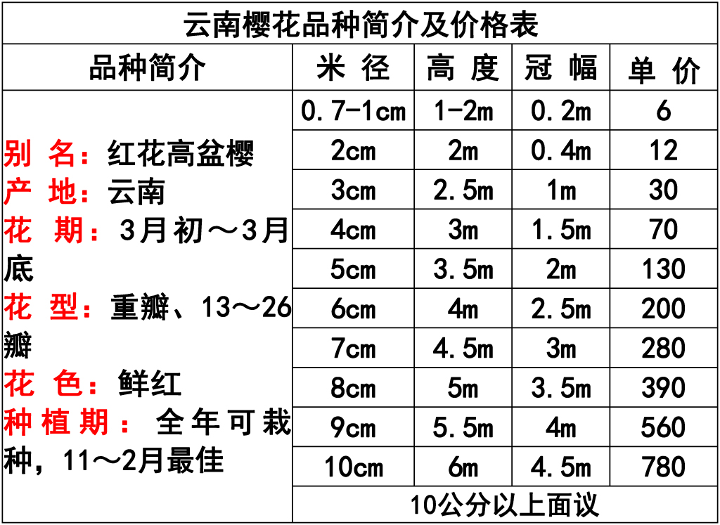 网站价格表 -14 副本.jpg