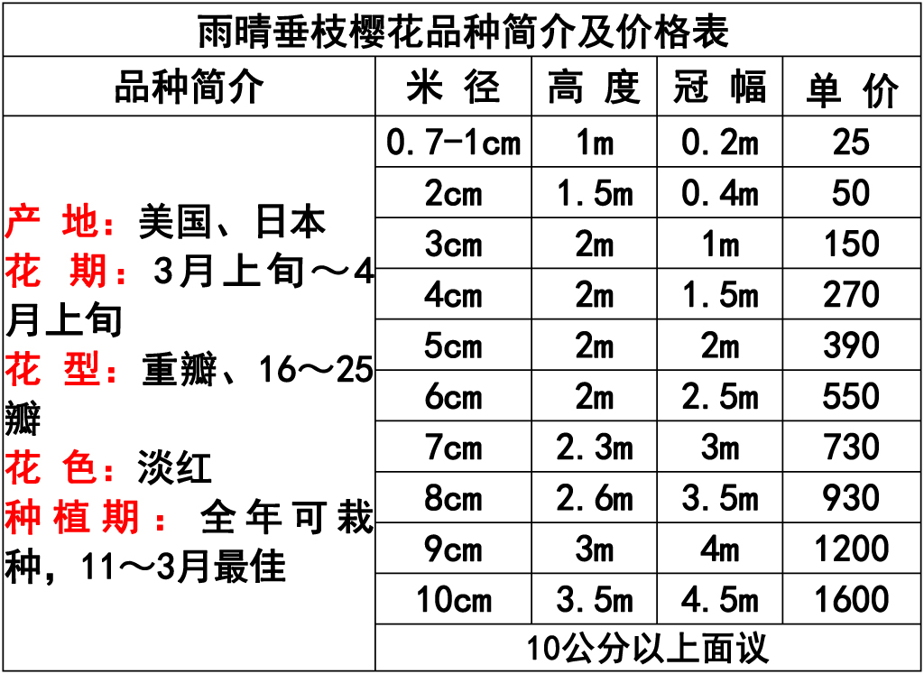 网站价格表 -16 副本.jpg