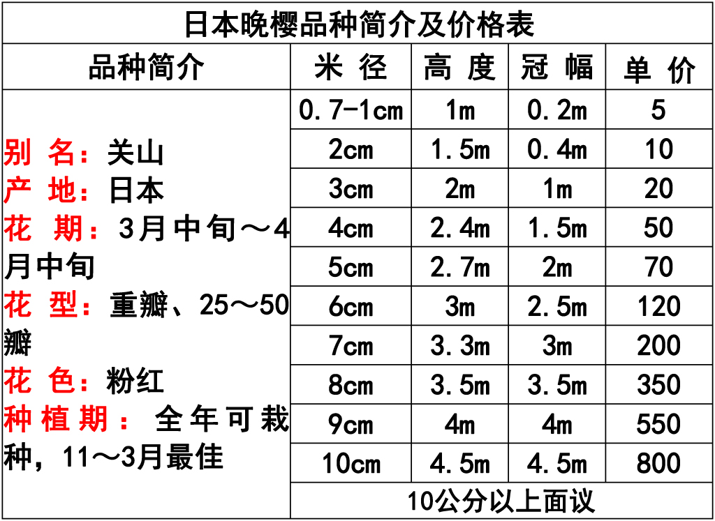 网站价格表 -20 副本.jpg