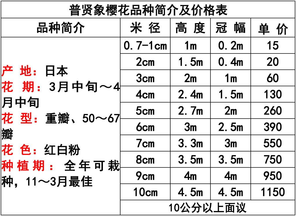 网站价格表 -21 副本.jpg